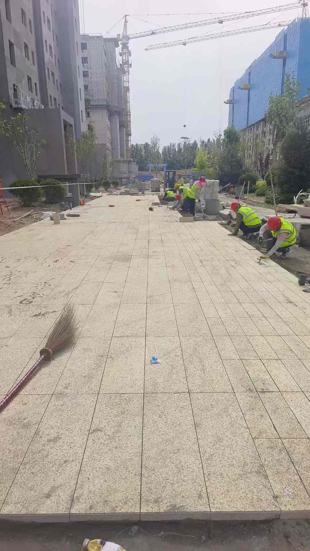 潍坊黄金麻荔枝面地铺案例