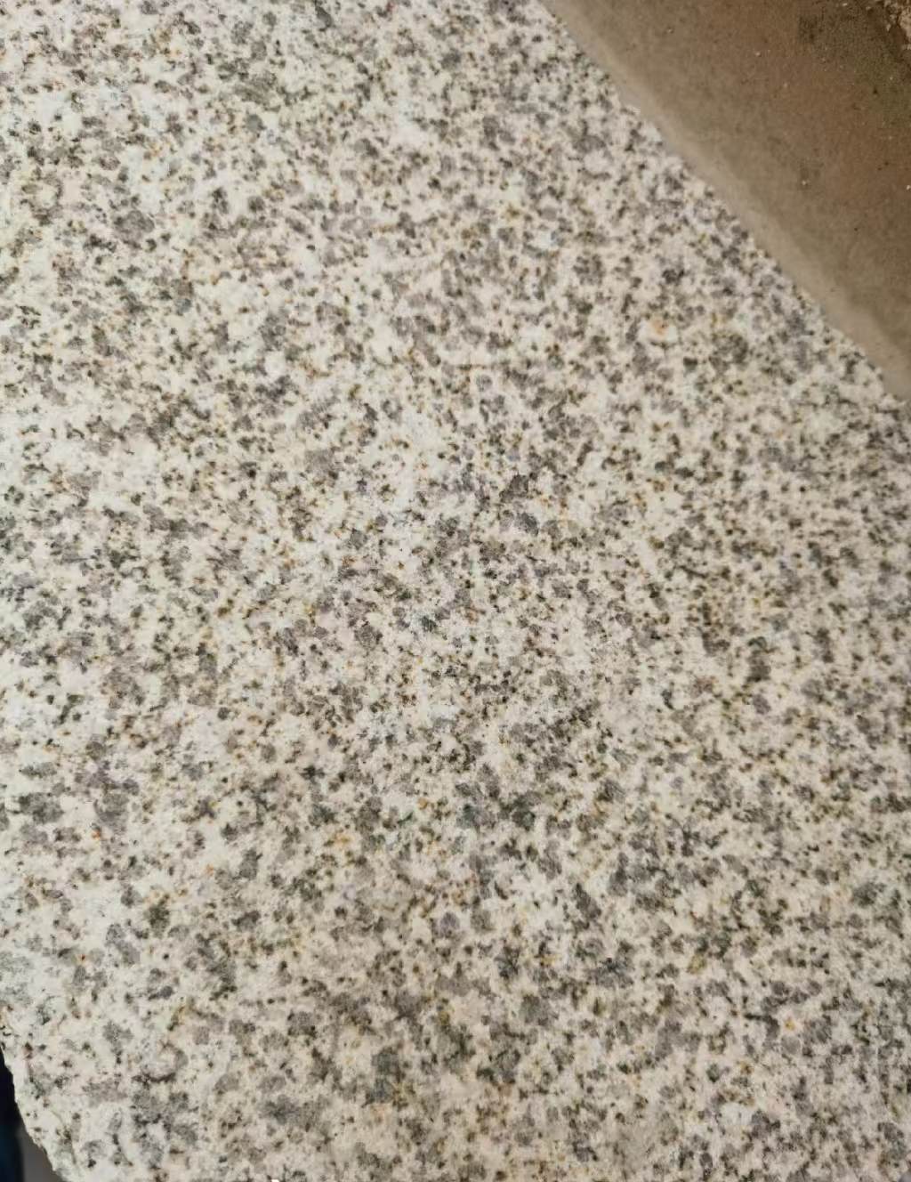 潍坊 黄金麻中黄光面