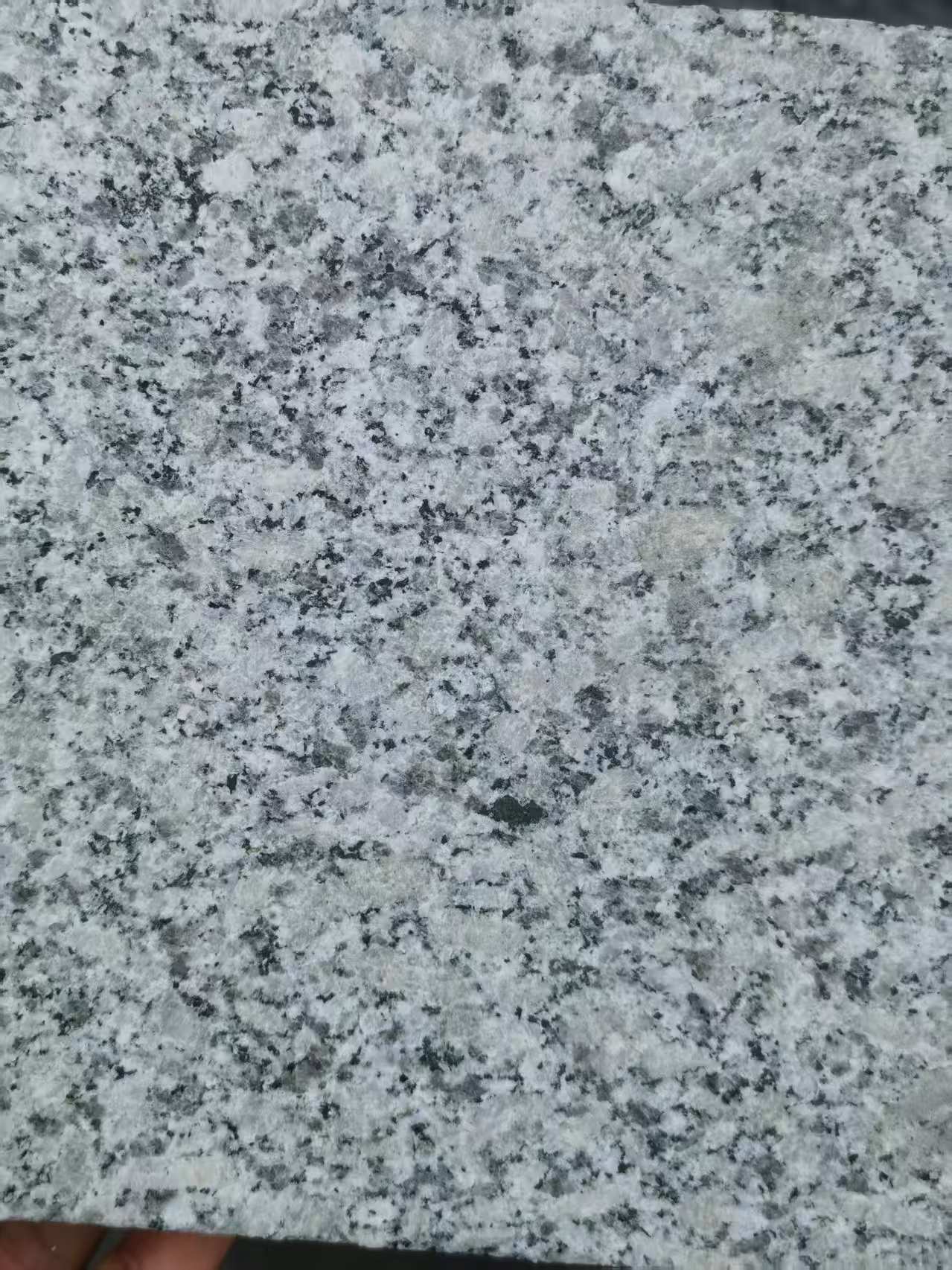 潍坊 芙蓉白火烧面